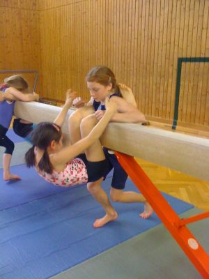 Unsere fleiÃŸigen Kinder beim Krafttraining
