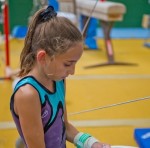 Olivia Wasik Olivia Wasik