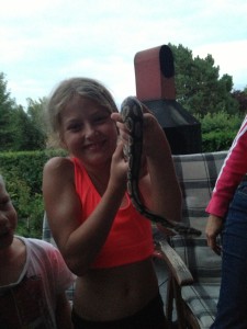 kleine Würgeschlange kennengelernt