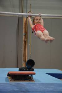 1554577_340183659495421_7418005552406190788_n